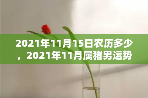 2021年11月15日农历多少，2021年11月属猪男运势运程解析 十一月的肖猪收入稳定