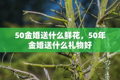 50金婚送什么鲜花，50年金婚送什么礼物好