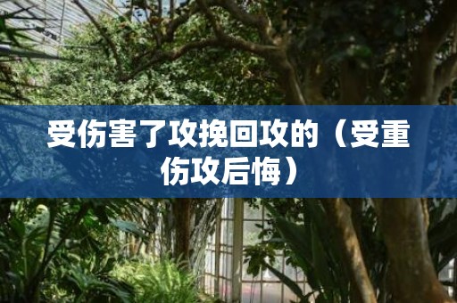 受伤害了攻挽回攻的（受重伤攻后悔）