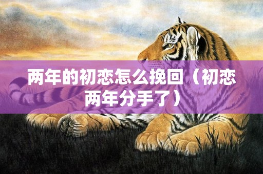 两年的初恋怎么挽回（初恋两年分手了）
