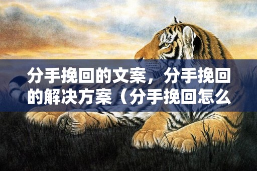 分手挽回的文案，分手挽回的解决方案（分手挽回怎么挽回）