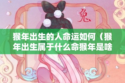 猴年出生的人命运如何（猴年出生属于什么命猴年是啥命）