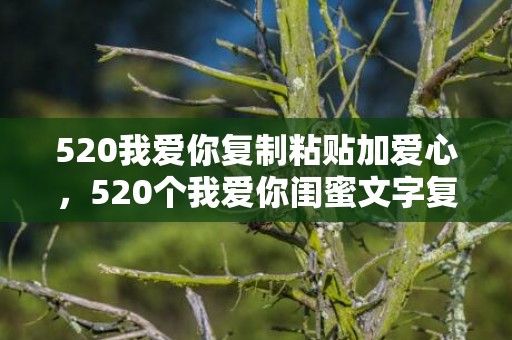520我爱你复制粘贴加爱心，520个我爱你闺蜜文字复制
