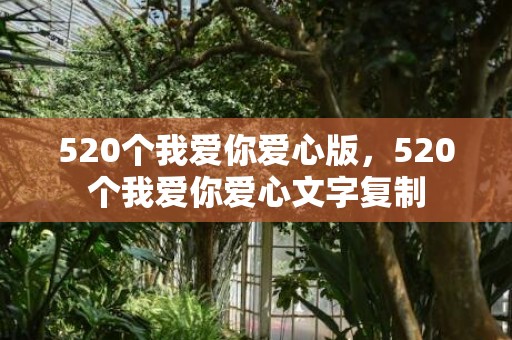 520个我爱你爱心版，520个我爱你爱心文字复制
