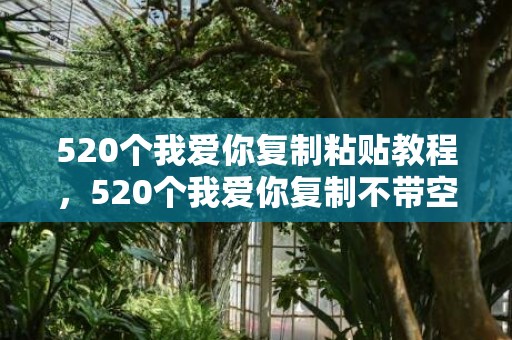 520个我爱你复制粘贴教程，520个我爱你复制不带空格