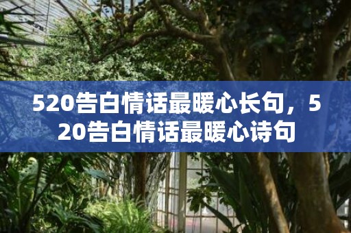 520告白情话最暖心长句，520告白情话最暖心诗句