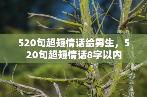 520句超短情话给男生，520句超短情话8字以内