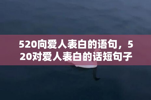 520向爱人表白的语句，520对爱人表白的话短句子