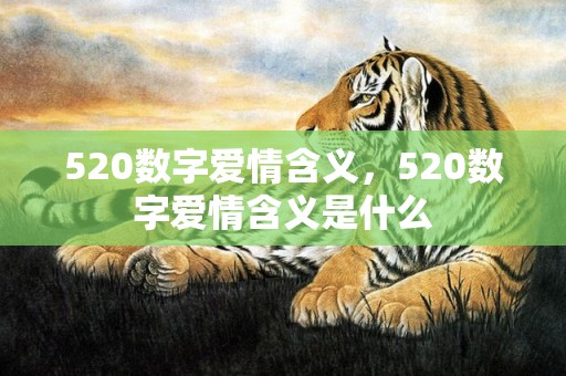 520数字爱情含义，520数字爱情含义是什么