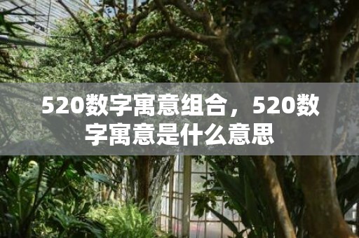 520数字寓意组合，520数字寓意是什么意思