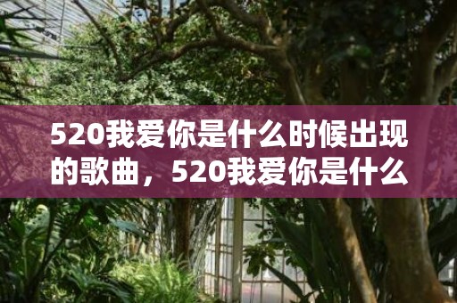 520我爱你是什么时候出现的歌曲，520我爱你是什么意思