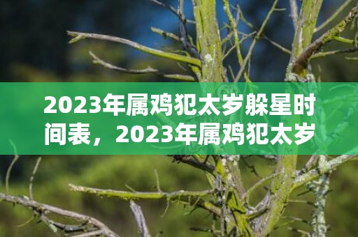 2023年属鸡犯太岁躲星时间表，2023年属鸡犯太岁怎么破 佩戴桃木饰物抑制太岁煞气