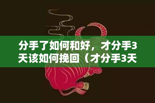 分手了如何和好，才分手3天该如何挽回（才分手3天该如何挽回女友）