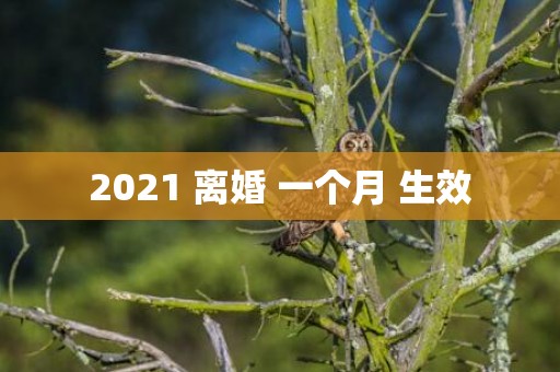 2021 离婚 一个月 生效