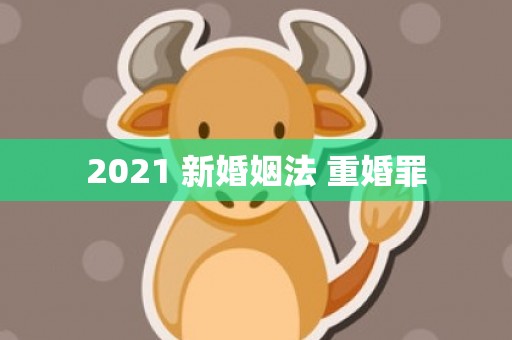 2021 新婚姻法 重婚罪