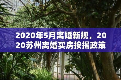 2020年5月离婚新规，2020苏州离婚买房按揭政策
