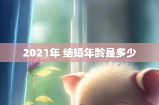 2021年 结婚年龄是多少