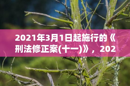 2021年3月1日起施行的《刑法修正案(十一)》，2021年3月19日结婚吉日吗