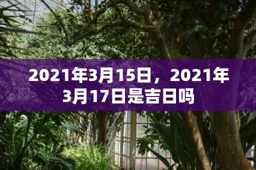 2021年3月15日，2021年3月17日是吉日吗