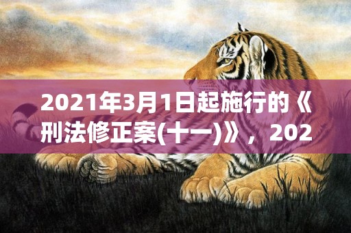 2021年3月1日起施行的《刑法修正案(十一)》，2021年3月17日子好不好