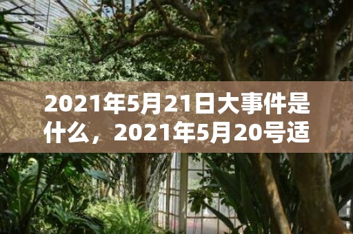 2021年5月21日大事件是什么，2021年5月20号适合领证吗