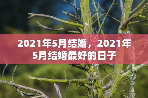 2021年5月结婚，2021年5月结婚最好的日子