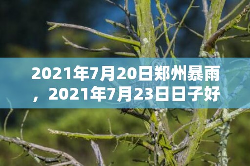 2021年7月20日郑州暴雨，2021年7月23日日子好不好