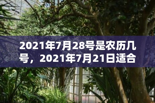 2021年7月28号是农历几号，2021年7月21日适合领证吗