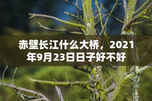 赤壁长江什么大桥，2021年9月23日日子好不好