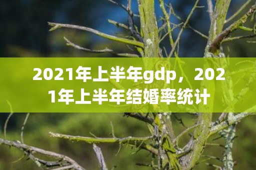 2021年上半年gdp，2021年上半年结婚率统计