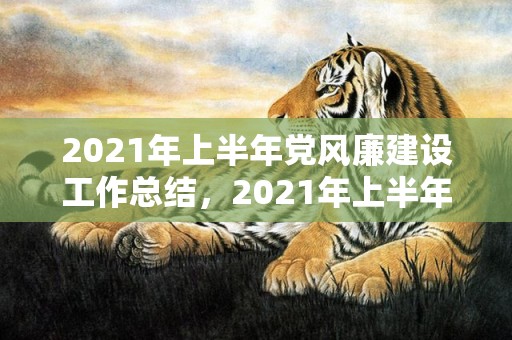 2021年上半年党风廉建设工作总结，2021年上半年结婚率是多少