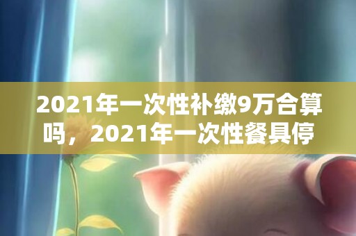 2021年一次性补缴9万合算吗，2021年一次性餐具停用吗