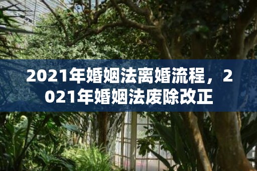 2021年婚姻法离婚流程，2021年婚姻法废除改正