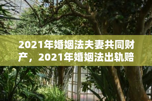 2021年婚姻法夫妻共同财产，2021年婚姻法出轨赔偿多少
