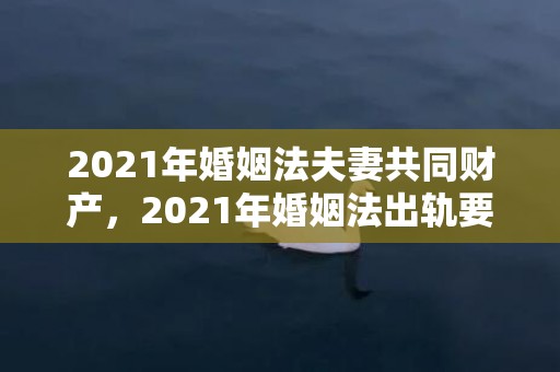 2021年婚姻法夫妻共同财产，2021年婚姻法出轨要赔偿