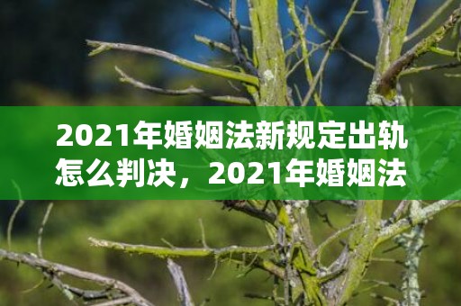 2021年婚姻法新规定出轨怎么判决，2021年婚姻法是否废除