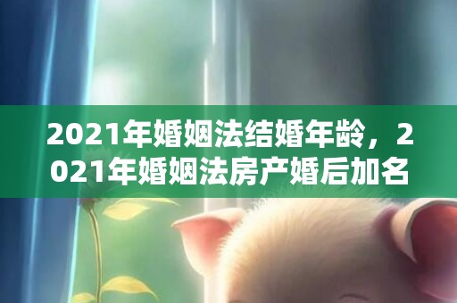 2021年婚姻法结婚年龄，2021年婚姻法房产婚后加名