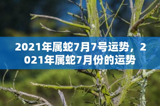 2021年属蛇7月7号运势，2021年属蛇7月份的运势
