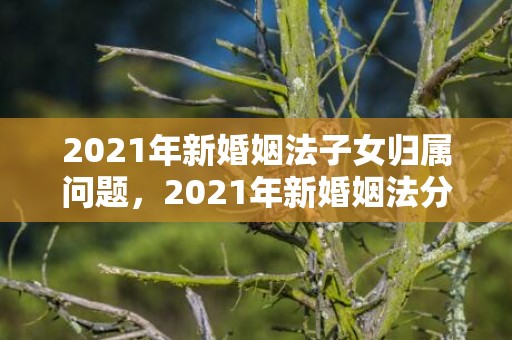 2021年新婚姻法子女归属问题，2021年新婚姻法分居一年