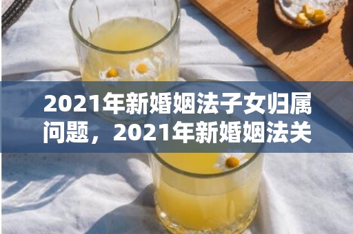 2021年新婚姻法子女归属问题，2021年新婚姻法关于房产
