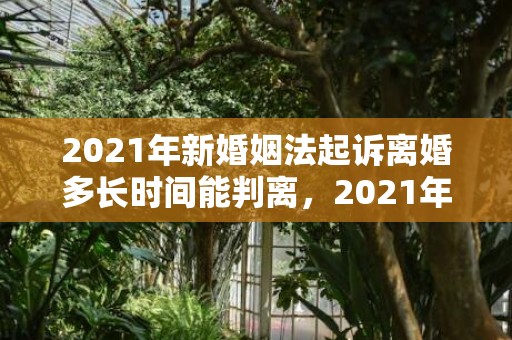 2021年新婚姻法起诉离婚多长时间能判离，2021年新婚姻婚后房产分割