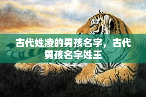古代姓凌的男孩名字，古代男孩名字姓王