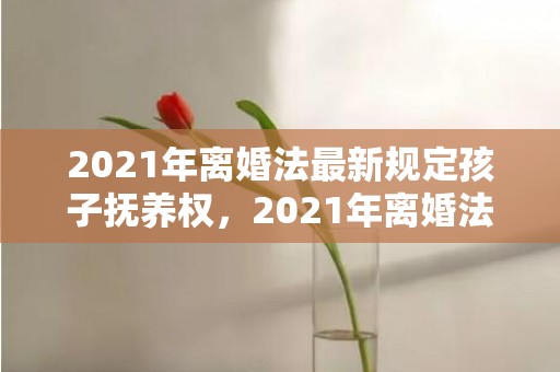 2021年离婚法最新规定孩子抚养权，2021年离婚法律规定有哪些