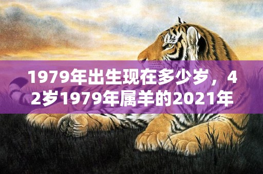1979年出生现在多少岁，42岁1979年属羊的2021年有离婚危机吗