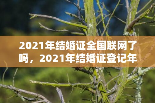 2021年结婚证全国联网了吗，2021年结婚证登记年龄