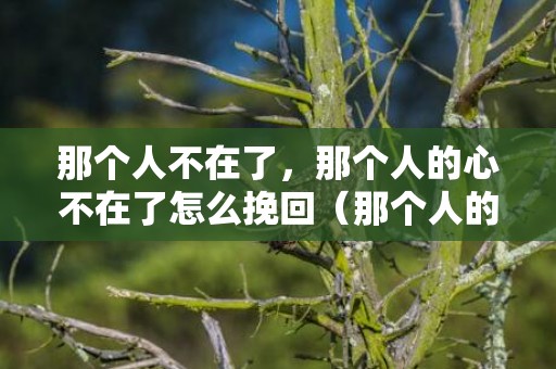 那个人不在了，那个人的心不在了怎么挽回（那个人的心不在了怎么挽回呢）