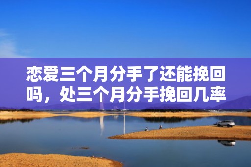 恋爱三个月分手了还能挽回吗，处三个月分手挽回几率大吗（处三个月是不是最容易分手）