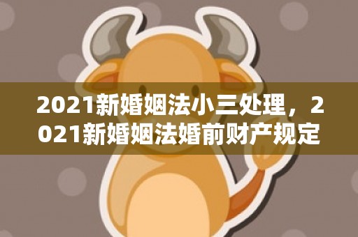 2021新婚姻法小三处理，2021新婚姻法婚前财产规定