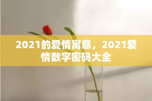 2021的爱情寓意，2021爱情数字密码大全