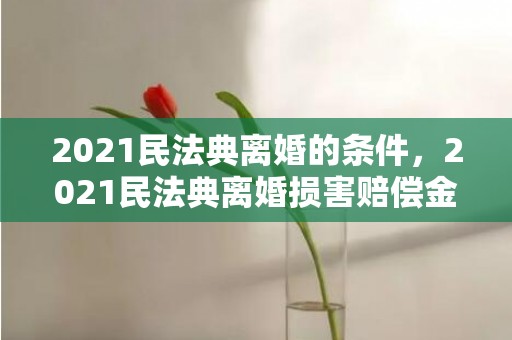 2021民法典离婚的条件，2021民法典离婚损害赔偿金